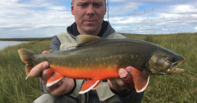 Arnarvatnsheiði til Fish Partner!