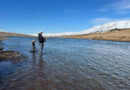 Útrýming sjóbleikjunnar í Eyjafirði í boði Kleifa fiskeldi