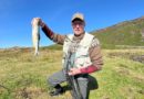 Fengu þrjá fiska í Hlíðarvatni