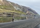 Sjóbleikjan er mætt í Fögruhlíðarósinn