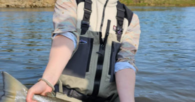 Fyrstu laxarnir komnir í Þverá