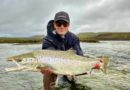Hrúta loks að koma til eftir erfiðar fæðingahríðir