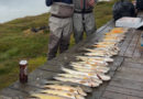 Skagaheiðin er bara veisla
