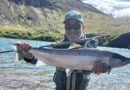 22 laxar komnir á land í Norðurá – enginn lax í Blöndu í morgun
