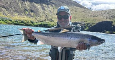 22 laxar komnir á land í Norðurá – enginn lax í Blöndu í morgun