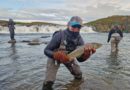 Vorum komnar með 30 fiska í háfinn
