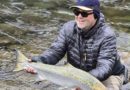 Rólegt í Hrútafjarðará en einn og einn á land