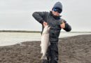 Frábær byrjun í veiðinni, lax og sjóbirtingur