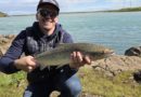 Rólegt en einn og einn fiskur