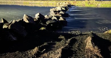 Veiðifélag Miðfirðinga snöggir til gegn vágestinum