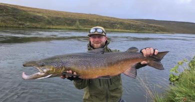 Maríulaxinn í stærri kantinum í Aðaldal