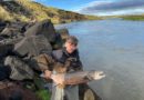 Fyrst kom stórlaxinn sem var óveiðandi