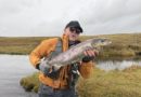 Ennþá hægt að komast í lax