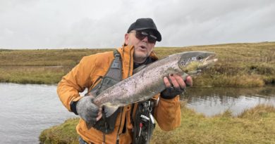 Ennþá hægt að komast í lax