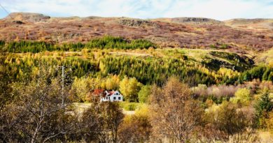 Fallegt við Hreðavatn en fiskurinn orðinn smár