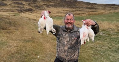 Skotsalan hefur verið frábær