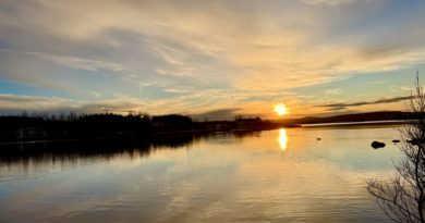 Fallegt við Elliðavatn, einn og einn fiskur að vaka Fallegt við Elliðavatn, einn og einn fiskur að vaka