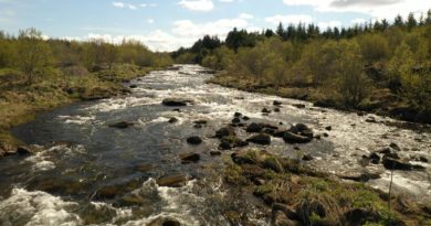 Framtíð Elliðaánna – opinn fundur með frambjóðendum Framtíð Elliðaánna – opinn fundur með frambjóðendum