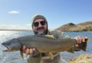 Risaurriði úr Úlfljótsvatni