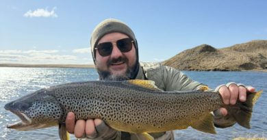 Risaurriði úr Úlfljótsvatni