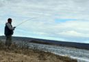 Urriðaveiði Laxá í Aðaldal, miðsvæðið að gefa Urriðaveiði Laxá í Aðaldal, miðsvæðið að gefa