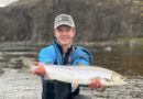 Laxá i Dölum opnaði á tveimur löxum
