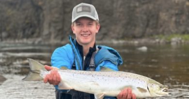 Laxá i Dölum opnaði á tveimur löxum