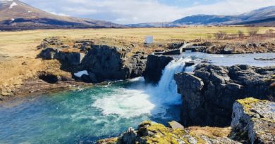 Tveir laxar annar úr Eyrarfossi