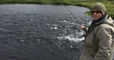 Nýir leigutakar með Laugardalsá 2027