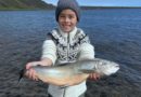 Frítt að veiða í Hlíðarvatni, í Selvogi á sunnudaginn