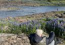 Þverá í Borgarfirði á toppnum