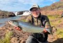 Víðidalsá opnaði á ellefu löxum