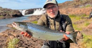 Víðidalsá opnaði á ellefu löxum