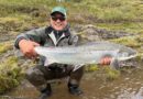 Fjórir laxar á land í Norðurá