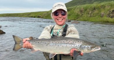 Átta laxar einn sjóbirtingur Átta laxar einn sjóbirtingur