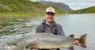 Risafiskur úr Svalbarðsá