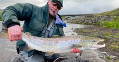 Miðfellsfljótið loksins gjöfult