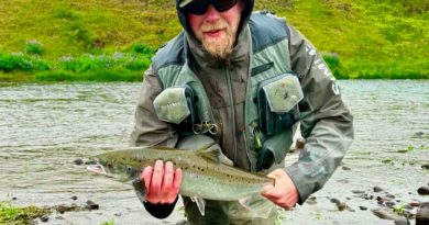 Stórgöngur að hellast inní Laxá í Leirársveit