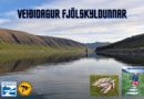 Veiðidagur fjölskyldunnar í Hraunsfirði Snæfellsnesi á laugardaginn Veiðidagur fjölskyldunnar í Hraunsfirði Snæfellsnesi á laugardaginn