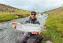 Birtingurinn er mættur í Leirá