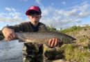 Flottur Maríulax í Elliðanum Flottur Maríulax í Elliðanum