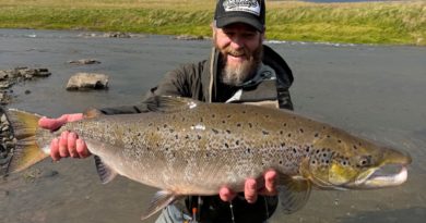 Frábær gangur í Laxá í Dölum Frábær gangur í Laxá í Dölum