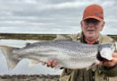 Mokveiði í Baugstaðaósi