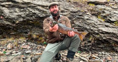 255 laxar komnir úr Hrútafjarðará