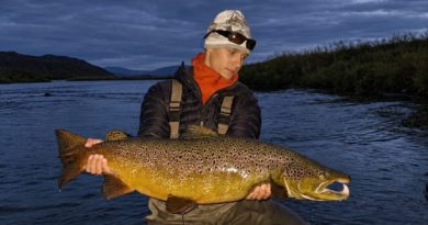 97 cm höfðingi á Miðsvæðinu í Laxá í Aðaldal