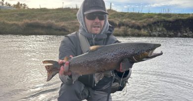 Fullt af fiski í flugukennslunni Fullt af fiski í flugukennslunni